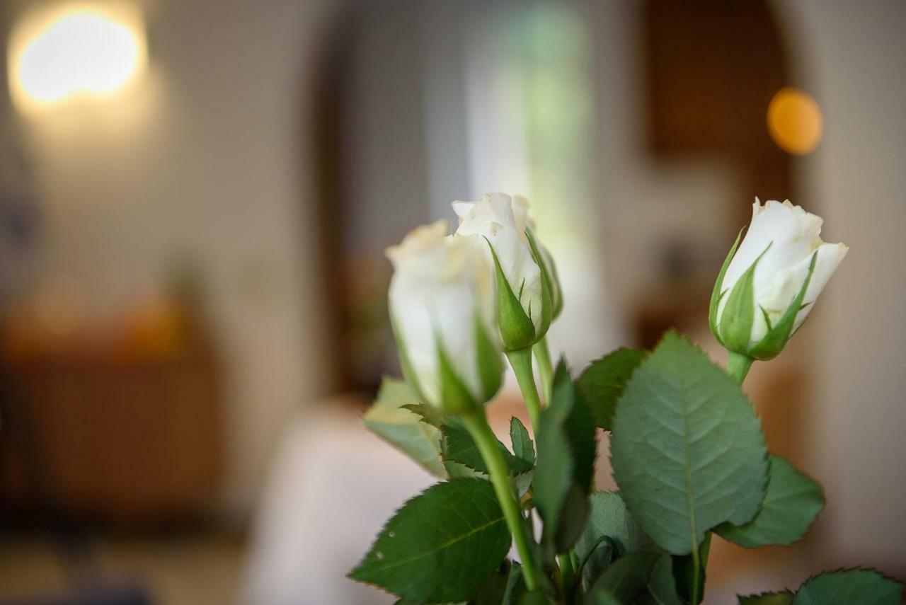 Bed And Breakfast Sweet Home Tirano Eksteriør bilde